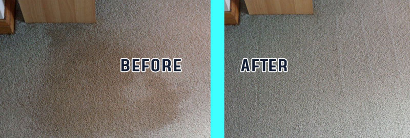 Professional Carpet Cleaning Coronet Bay