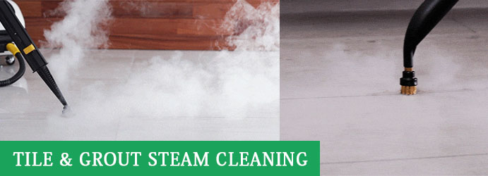 Tile and Grout Steam Cleaning High Camp