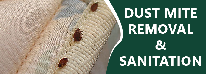 Dust Mite Removal and Sanitation Harkaway