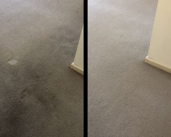 Carpet Cleaning After - Before