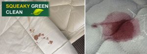 Mattress Blood Stain Removal