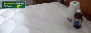 Mattress Cleaning with Vinegar