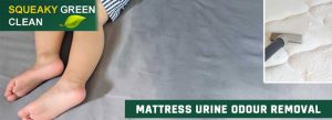 Mattress Urine Odour Removal
