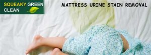 Mattress Urine Stain Removal