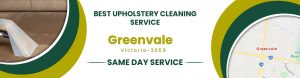 Upholstery Cleaning Greenvale
